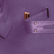 Birkin 35 Handbag in Ultraviolet Clemence Leather with Gold-plated Hardware | Bagnia