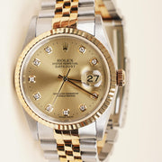 Datejust 36mm Watch